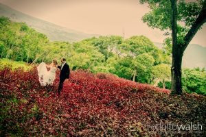 Fotografo de bodas Santo Domingo del Cerro